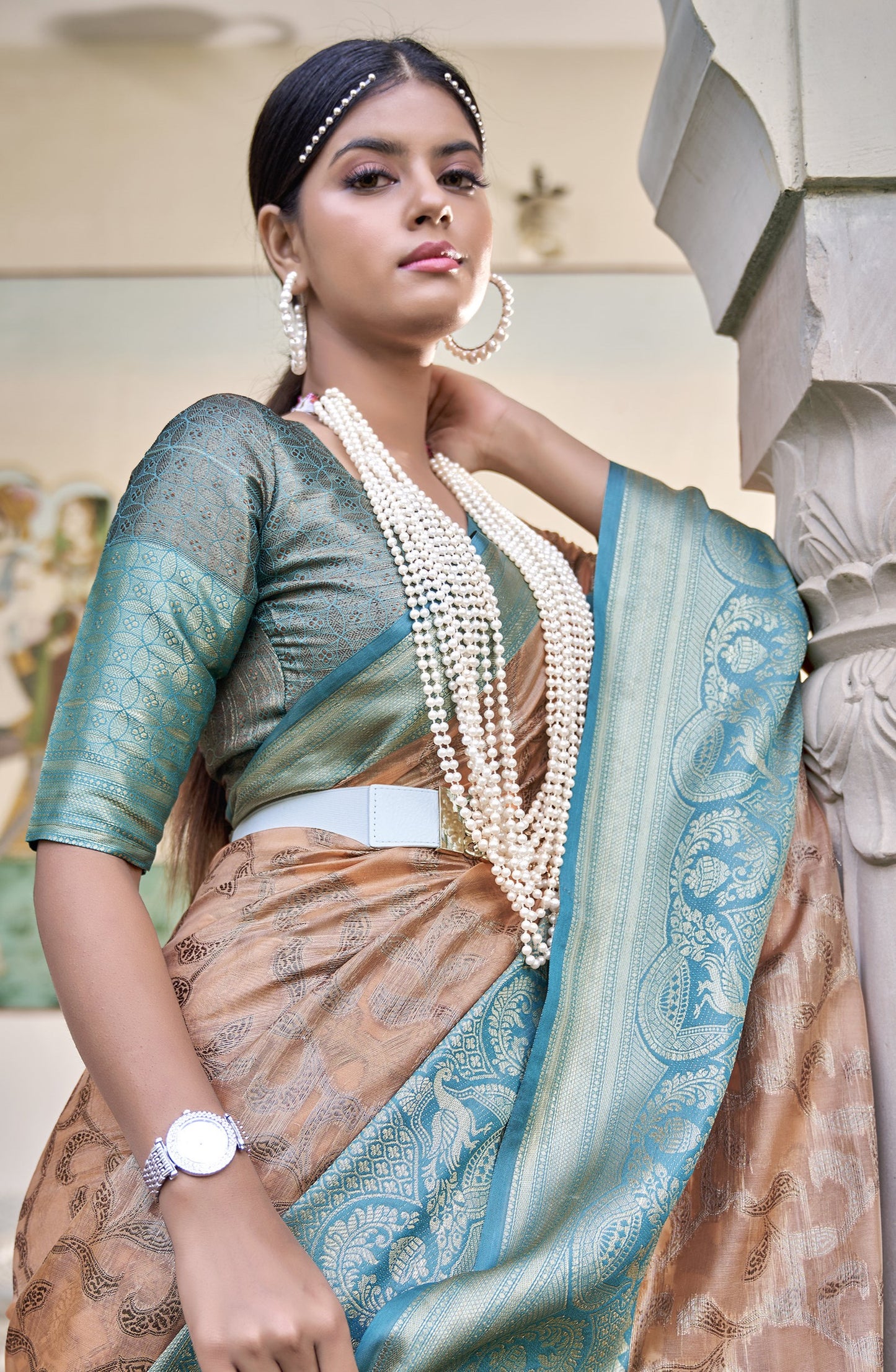 Sandy Brown Tissue Silk Saree