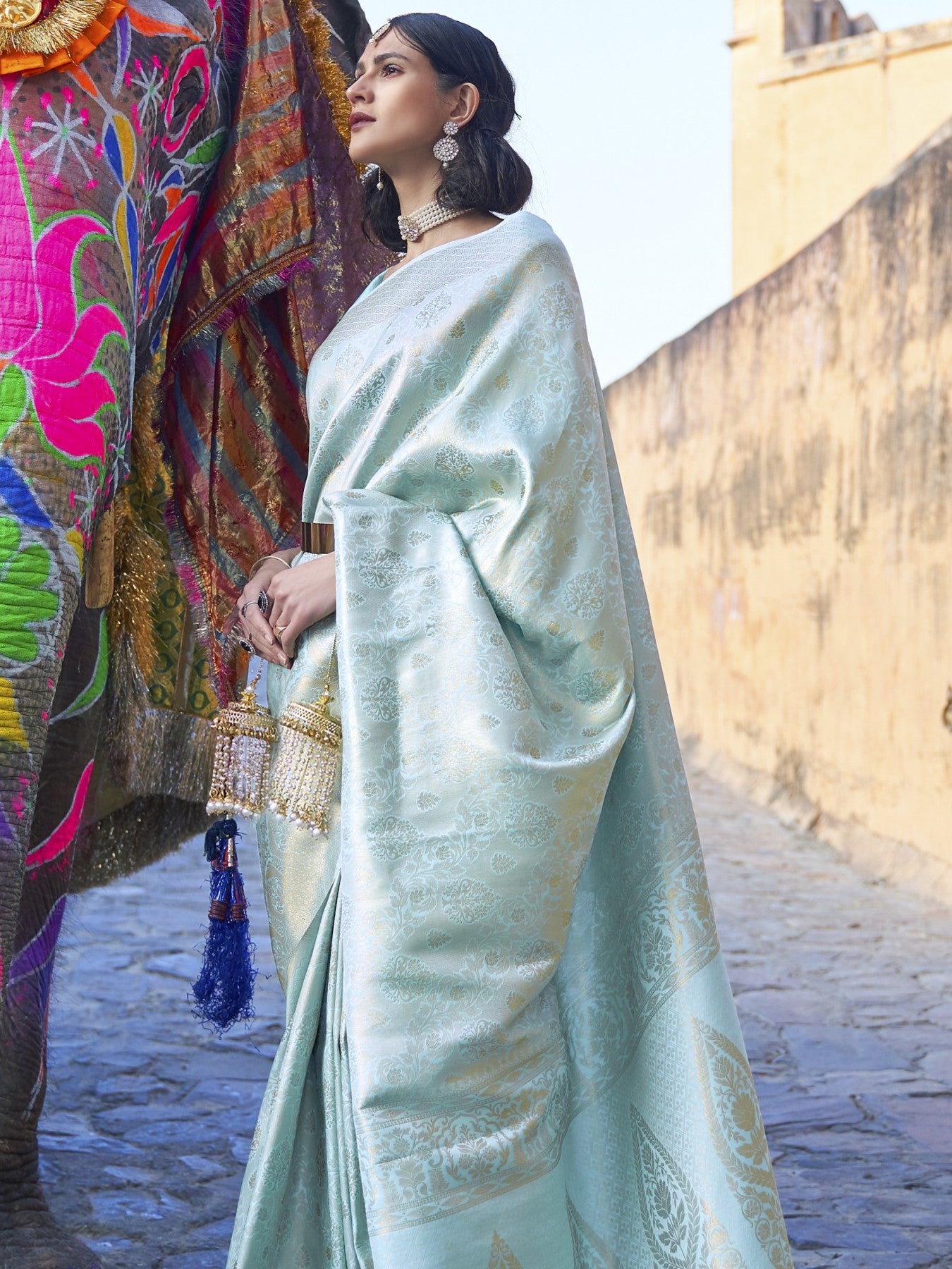 Light Blue Kanjivaram Saree