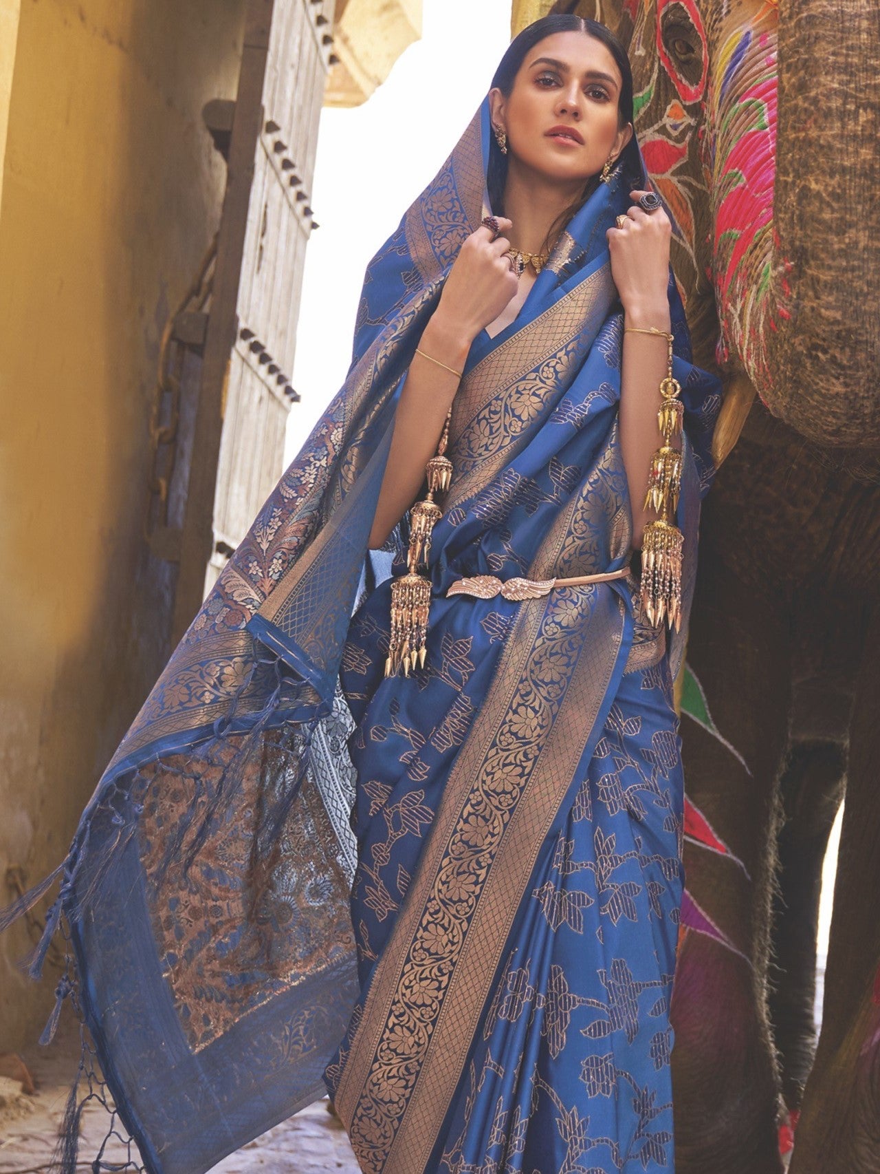 True Blue Woven Banarasi Saree