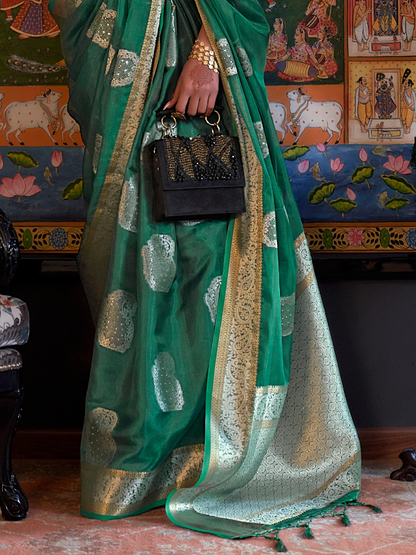 organza saree fancy