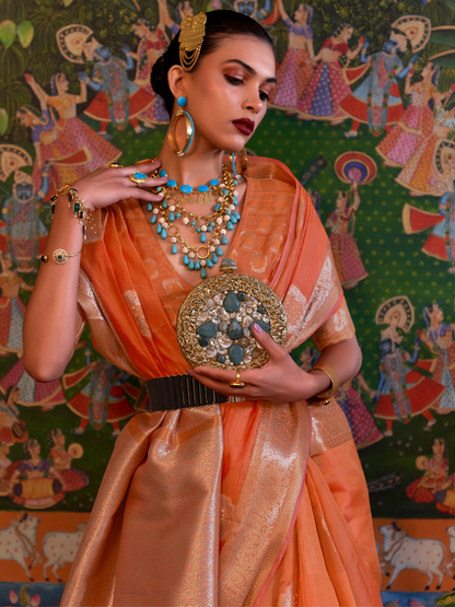 organza saree draping